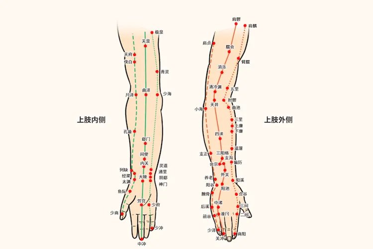 人体手臂经络图及功用解析