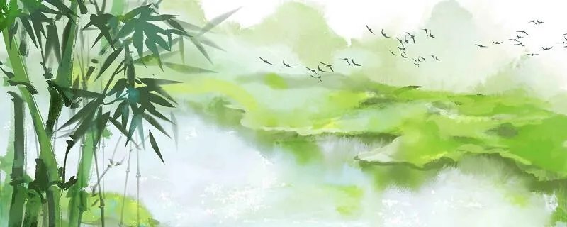 胸有成竹的主人公是谁 胸有成竹的主人公是文同吗