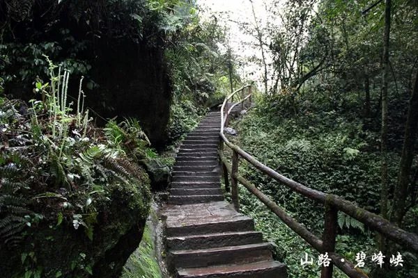 有旅游景点的图片呀？