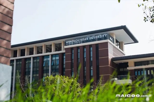 中外合作办学的大学有哪些 2022中外合作办学的大学排行榜