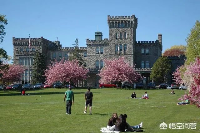 大学校园应该是什么样的?