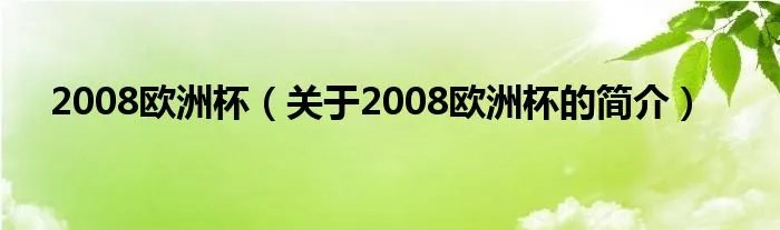 2008欧洲杯（关于2008欧洲杯的简介）