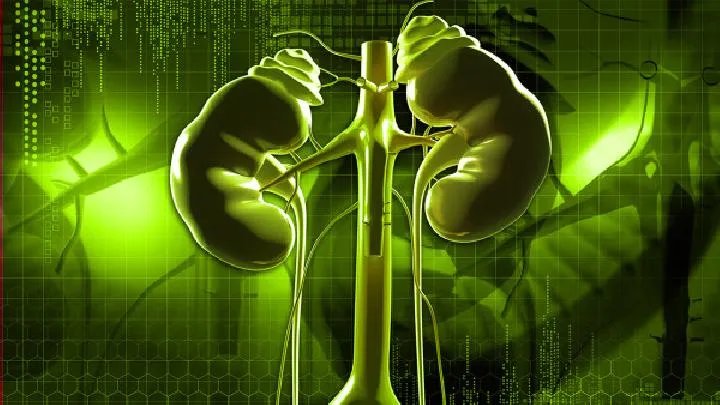 中国最好的肾病医院解析:肾与男人