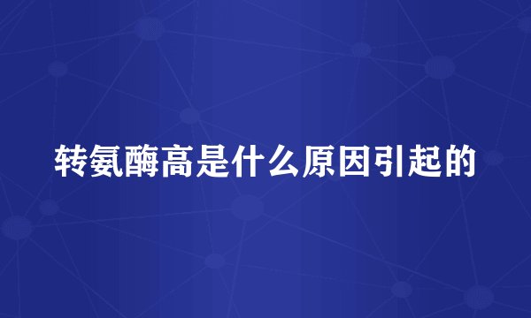 转氨酶高是什么原因引起的