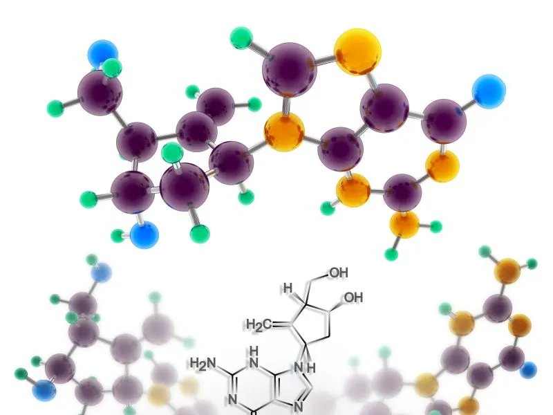 恩替卡韦副作用有哪些