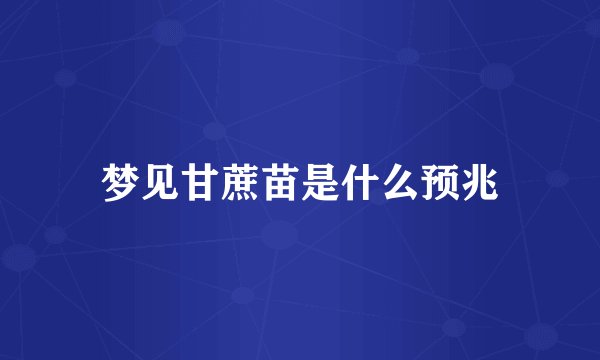 梦见甘蔗苗是什么预兆
