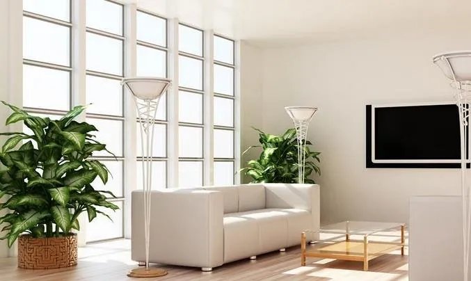 客厅放什么花风水好 客厅植物摆放风水禁忌