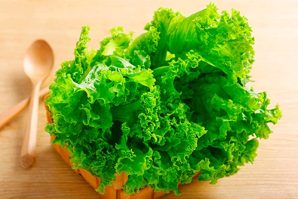 对身体很有益的食物有哪些