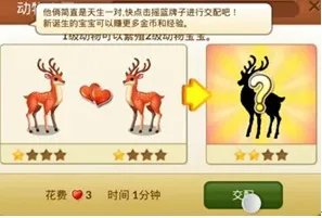 玩转“开心动物王国”之入门攻略