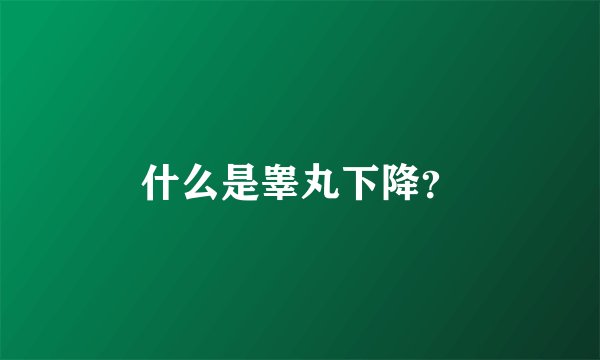 什么是睾丸下降？