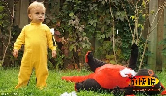 降龙娃娃！幼女“功夫”大战玩具恐龙爆红网络