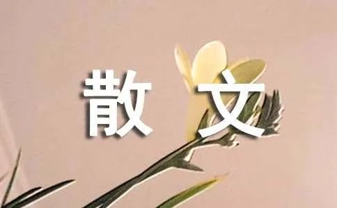 林清玄经典散文