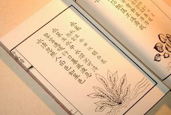 救荒本草是哪个朝代的