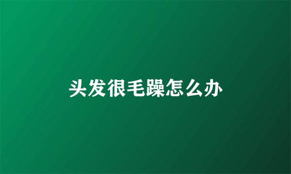 头发很毛躁怎么办