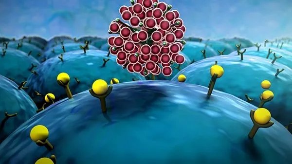 辽宁新增18例本土确诊在葫芦岛 葫芦岛疫情传播链条是怎样的？