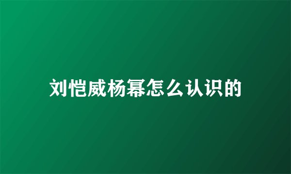 刘恺威杨幂怎么认识的