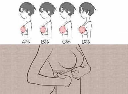 胸罩abcd对照标准尺码表(2023最新版)