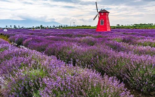 【沈阳景点】沈阳好玩的地方有哪些 沈阳旅游景点大全
