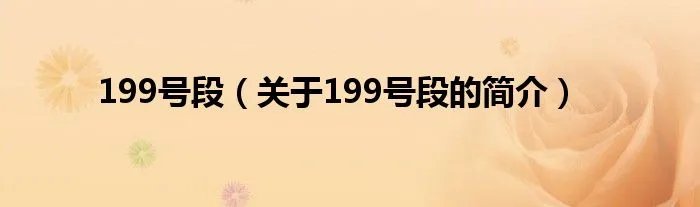 199号段（关于199号段的简介）