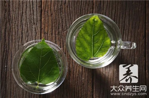 桑树叶泡水喝注意什么？