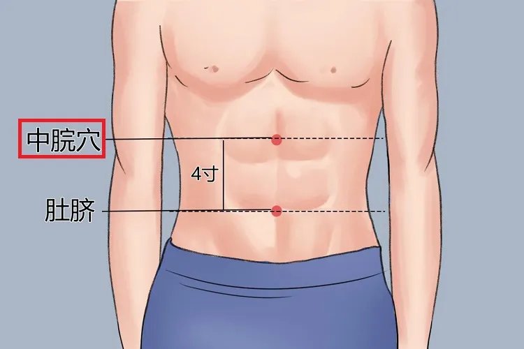 三伏贴脾胃贴敷部位图