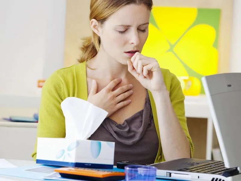 芦苇根的功效与作用