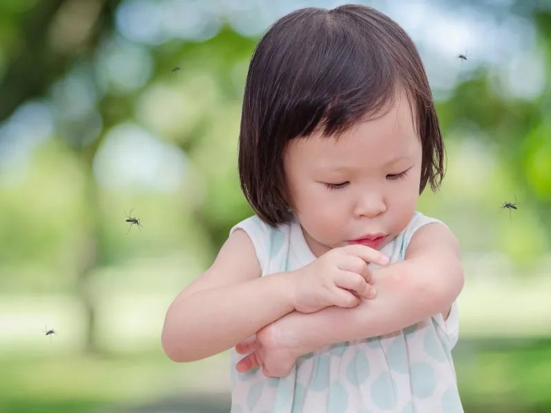 登革热潜伏期的发病症状有哪些