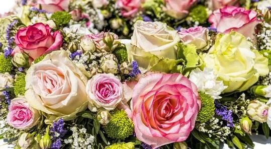 送玫瑰花代表什么意思 送玫瑰花几朵各代表什么