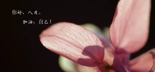 八月的句子短句唯美