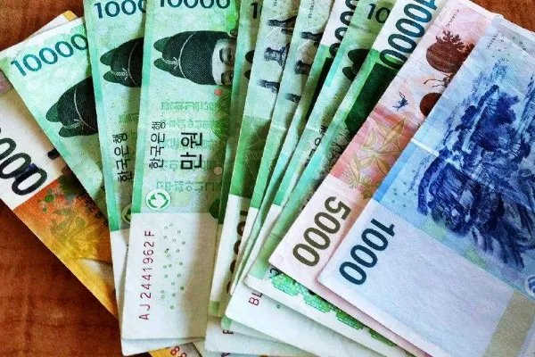 2亿韩元去韩国够用吗？