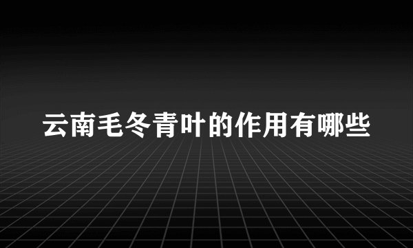 云南毛冬青叶的作用有哪些