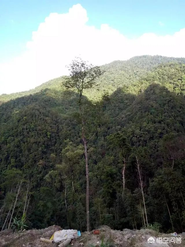 神农架好玩吗？