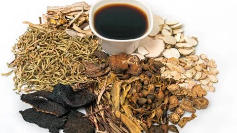 铁皮枫斗的功效与作用