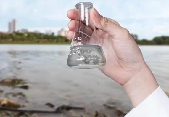 白鳍豚灭绝了吗  白鳍豚现在有多少只