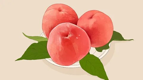桃子是热性还是凉性