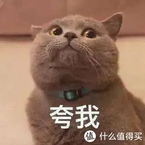 免费看电影网站推荐