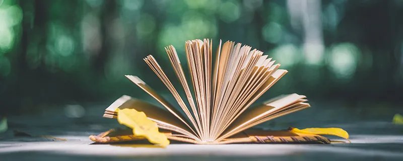 大江东去浪淘尽全诗作者是谁 大江东去浪淘尽全诗的作者