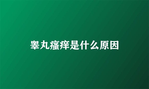 睾丸瘙痒是什么原因