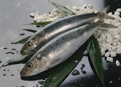 沙丁鱼的做法