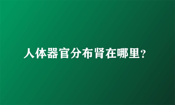 人体器官分布肾在哪里？