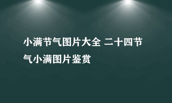 小满节气图片大全 二十四节气小满图片鉴赏