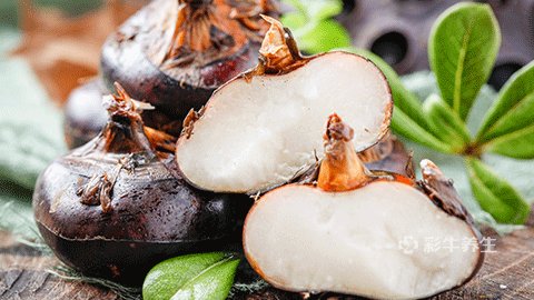 荸荠的功效与作用及禁忌