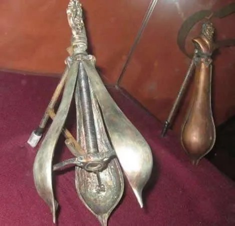 开花梨是什么:开花梨用来做什么,开花梨有多恐怖