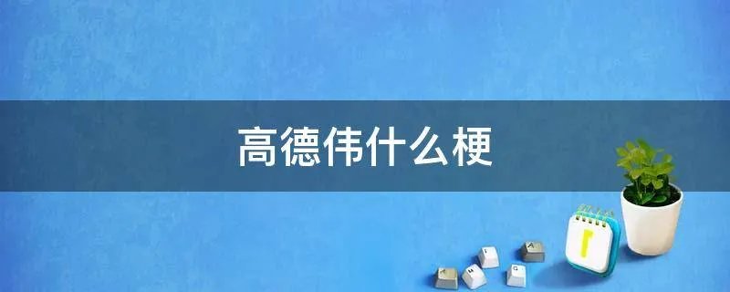 高德伟什么梗
