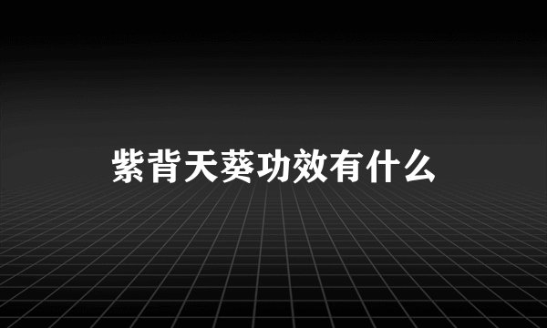 紫背天葵功效有什么