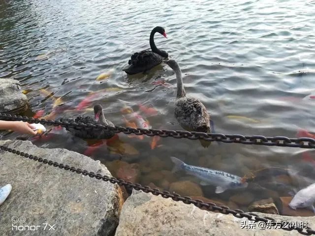 普通人怎么拍出好看的照片？