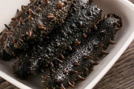 吃海参的功效与作用