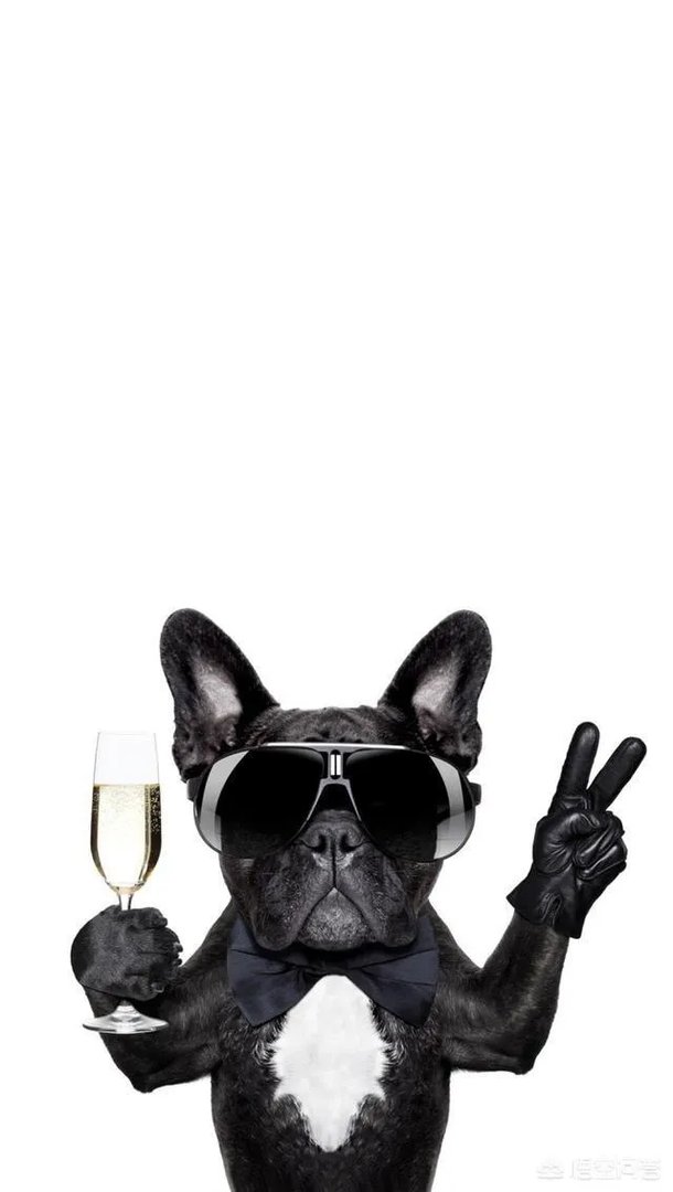 韩国菲律宾均有英超高手不屑迎战国足，这是中国足球的悲哀吗？