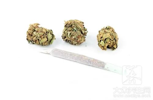 炒槐花的功效与作用有哪些？