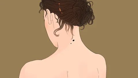 颈动脉窦位置在哪里